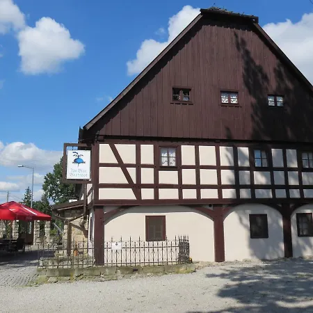 The Blue Beetroot 3*