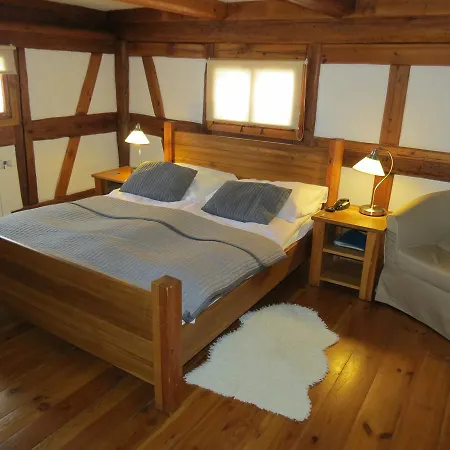 The Blue Beetroot 3*