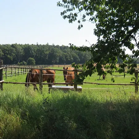 Aparthotel The Blue Beetroot 3*