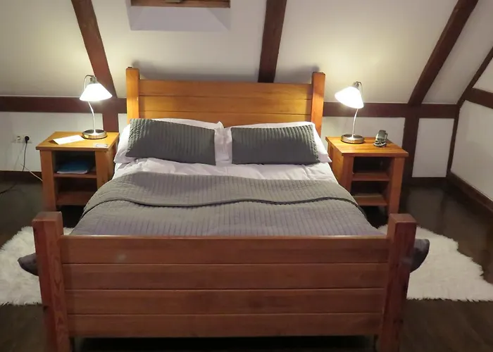 The Blue Beetroot 3*