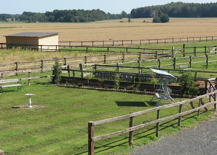 The Blue Beetroot Boleslawiec (Lower Silesia)
