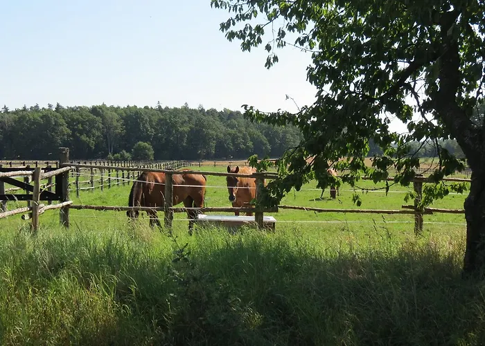 Aparthotel The Blue Beetroot 3*