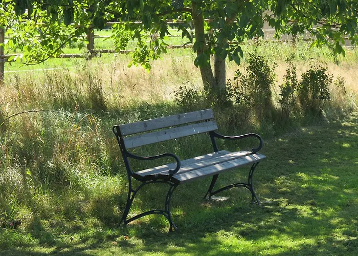 Aparthotel The Blue Beetroot